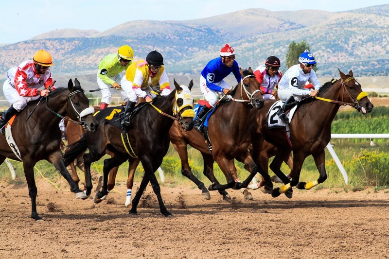Online vs. Offline Betting